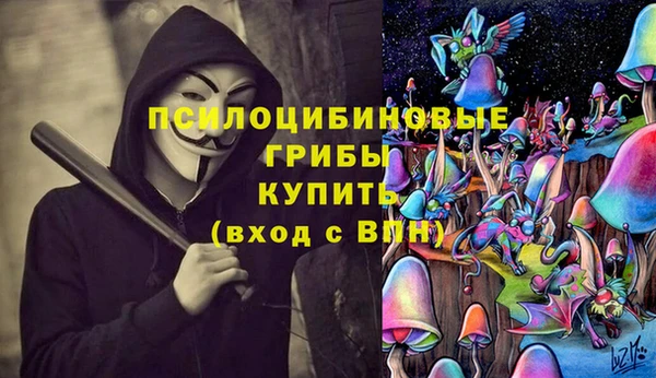 кокс Аркадак