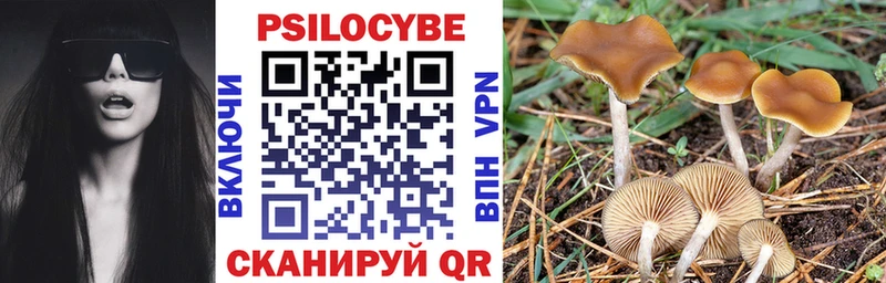 Галлюциногенные грибы Psilocybine cubensis  Кингисепп 